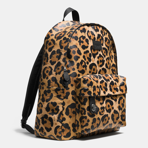 Coach Outlet Small Campus Backpack In Wild Beast Print Leather